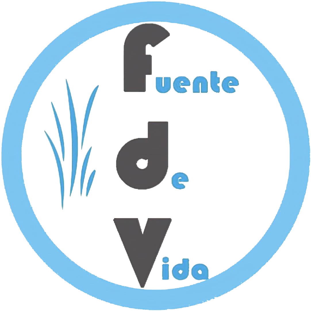 Fuente de Vida church logo featuring the organization name in a modern design